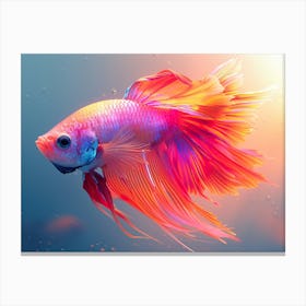 Siamese Catfish 3 Canvas Print