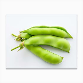 Soya Beans Canvas Print