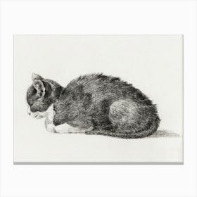 Lying Cat (1800), Jean Bernard Canvas Print