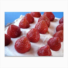 Strawberry Cake Canvas Print