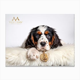 English Spaniel Puppy Lying On Soft White Fur In A Closeup Portrait Adorned With A Gold Collarcol (6) Lienzo