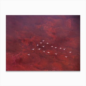Red Land Canvas Print