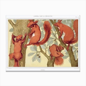 Squirrels From The Animal In The Decoration (1897), Maurice Pillard Verneuil Canvas Print