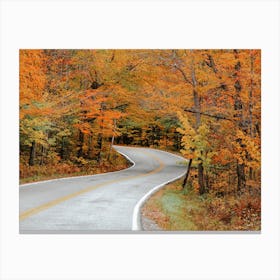Road Through Fall Forest Canvas Print