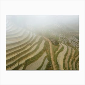 Ricefields Canvas Print