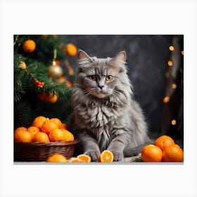 Cat With Oranges Canvas Print