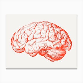 Brain Illustration red Canvas Print