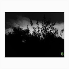 Tree In The Dark 20240115190842pub Canvas Print