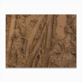 Texture Of Wet Brown Mud With Bicycle Tyre Tracks 5 Canvas Print