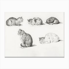 Five Studies Of Cats, Jean Bernard Canvas Print