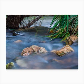 Peaceful Stream In The Forest Canvas Print