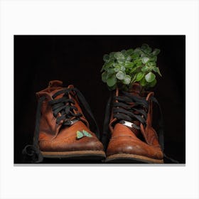 Shoes With Plants Canvas Print