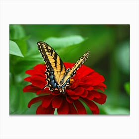 Spring Butterfly On Zinnia Canvas Print