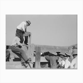 Spectators At Bean Day Rodeo, Wagon Mound, New Mexico By Russell Le Canvas Print