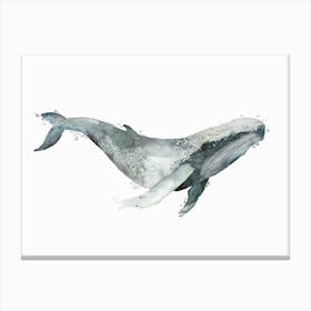 Sea Life Blue Whale Canvas Print
