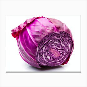 Red Cabbage (17) Canvas Print