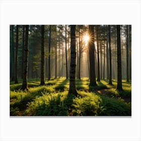 Sunrise In The Forest 6 Canvas Print