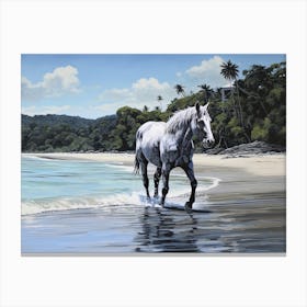 A Horse Oil Painting In Manuel Antonio Beach, Costa Rica, Landscape 2 Canvas Print