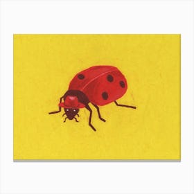 A Little Ladybird With A Little Stetson Canvas Print
