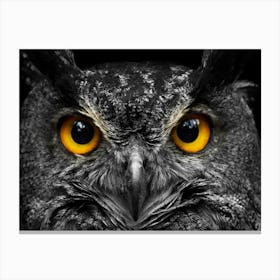 Owl Portrait 1 Canvas Print