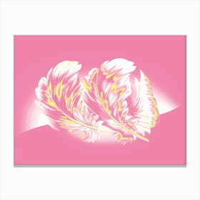 Feathers On A Pink Background Canvas Print