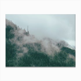 Forest Fog Canvas Print