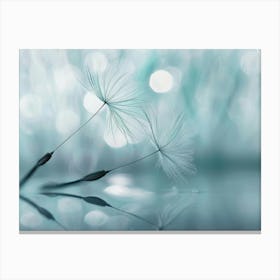 Dandelion 25 Canvas Print