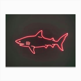 Neon Zebra Shark 3 Canvas Print