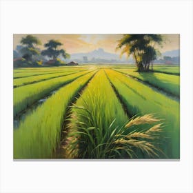 Rice Field Canvas Print