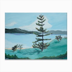 Pine Tree By The Lake Canvas Print