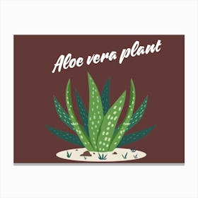 Aloe Vera Plant Canvas Print