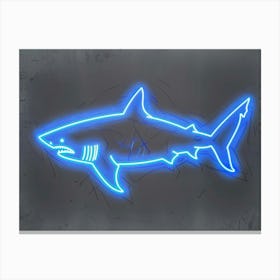Neon Aqua Wobbegong Shark 2 Canvas Print