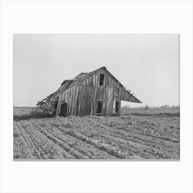 Abandoned Tenant Farmhouse In Field Of Cotton In Wagoner County, Oklahoma By Russell Lee Canvas Print