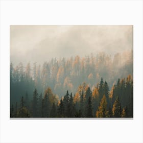 Misty Mountain Forest Canvas Print