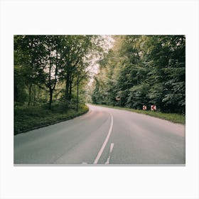 Road In The Woods Canvas Print