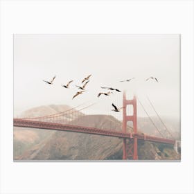 Seagulls And Bridge Canvas Print