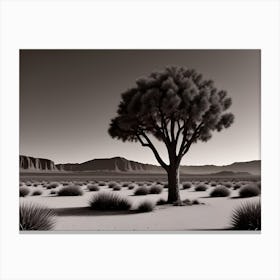 Lone Tree Canvas Print