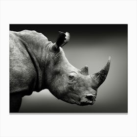 Rhinoceros Canvas Print