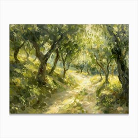 Olive Grove Canvas Print