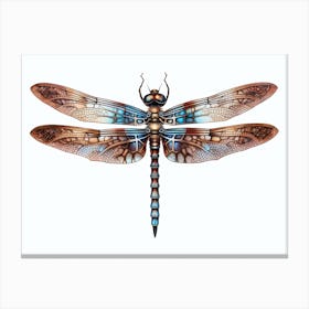Dragonfly Blue Eyed Darner Aeshna Illustration Minimal 6 Canvas Print