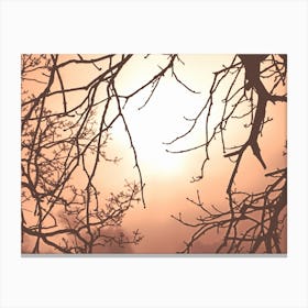 Atmospheric Red Sunrise on a Misty Winter Morning in Hyde Park, London Canvas Print