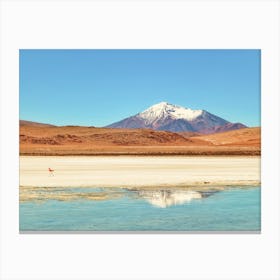 Flamingo lake reflection of snow-capped volcano Canvas Print