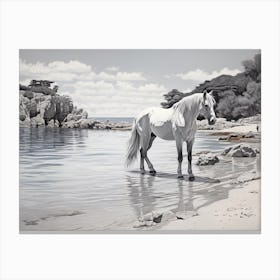 A Horse Oil Painting In Cala Macarella, Spain, Landscape 1 Canvas Print