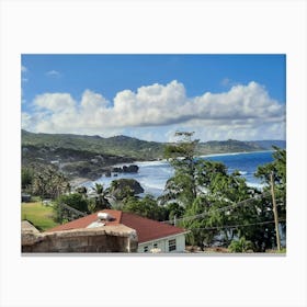 Barbados Bathsheba photography Canvas Print