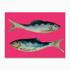 Hot Pink Fish Canvas Print