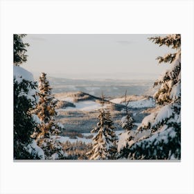 Winter In Norway Canvas Print