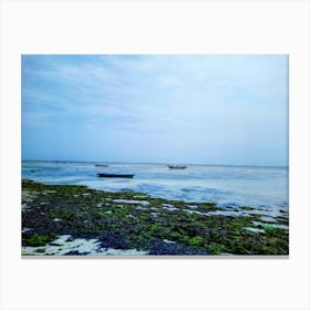 Ocean beach at low tide Canvas Print