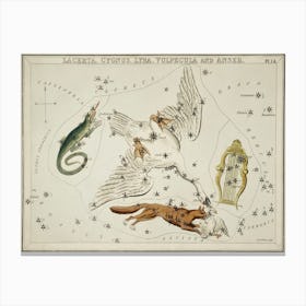 Sidney Hall’s (1831), Astronomical Chart Illustration Of The Lacerta, Cygnus, Lyra, Vulpecula And The Anser Canvas Print