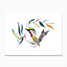 Watercolor Bird 5 Canvas Print
