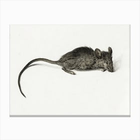 Mouse 1, Jean Bernard Canvas Print